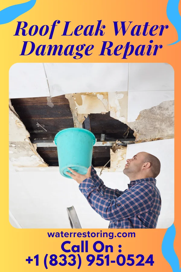 Roof Leak Water Damage Repair in Morgan Heights, CO
